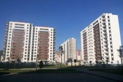 enlife-30Agustos2016-8