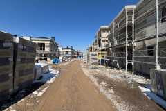 GARDEN15-12.03.2026-5